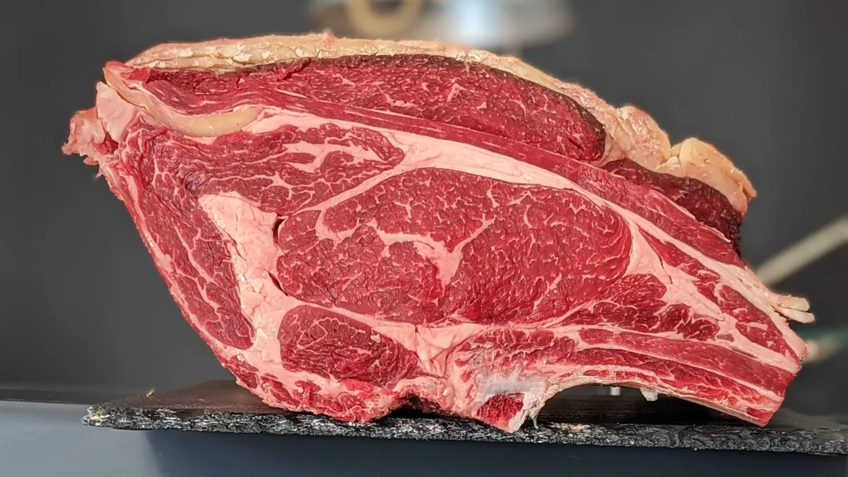 Vaca Simmental